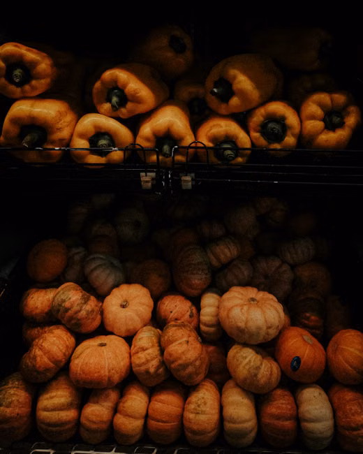 Pães Artesanais